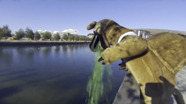 The LA Bowl's Puking Camel Is Everything Great About College Football