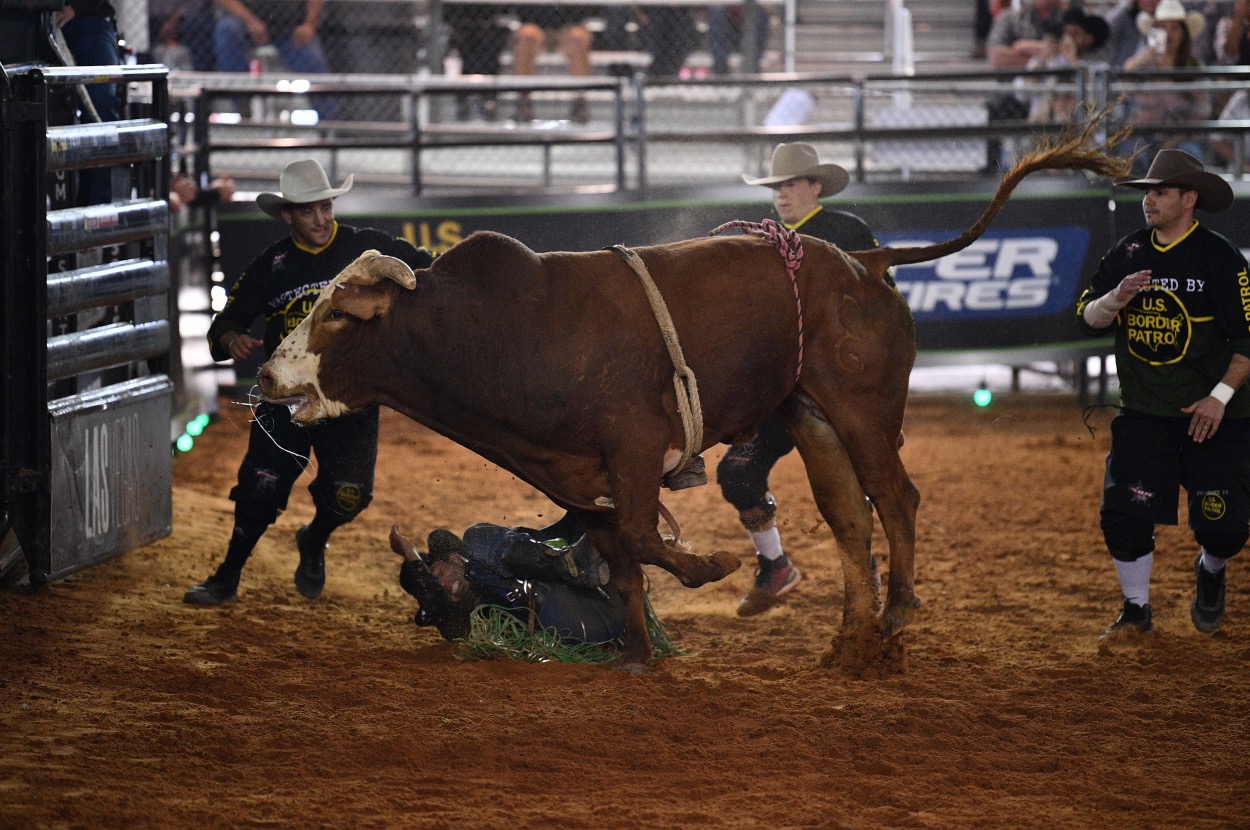 Bull Rider Knocked Unconscious During A Terrifying Moment At Rodeo