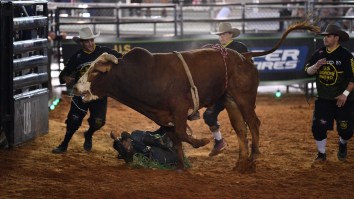 Bull Rider Knocked Unconscious During A Terrifying Moment At The National Finals Rodeo