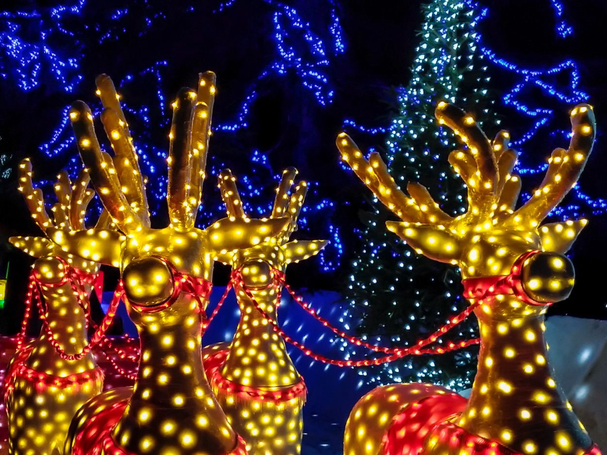 House Sets New World Record For The Most Christmas Lights Ever