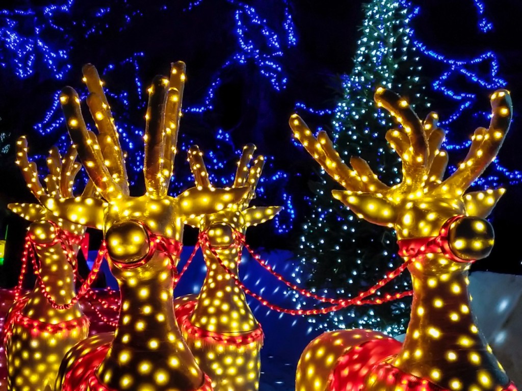 This Upstate NY House Has Set A World Record For The Most Christmas Lights Ever