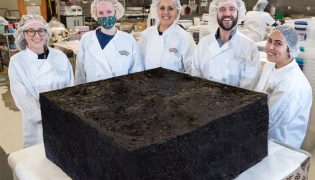 This Absolutely Massive Weed Brownie Set A New World Record