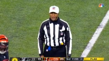 Fans Are Calling For The NFL To Fire Ref Jerome Boger After Major Screw Up In Bengals-Raiders Playoff Game