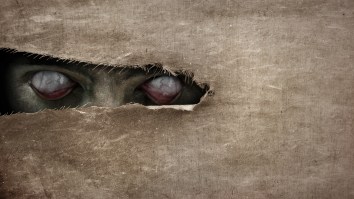 PA Woman Rescues Mystery Animal That Has Baffled Experts Who Don’t Know What The Creature Actually Is