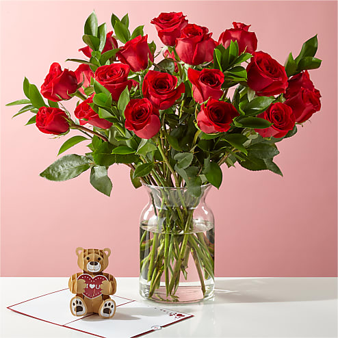 Two Dozen Roses and Lovepop I Love You Teddy Bear Card