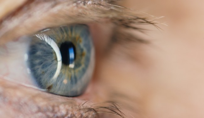 Study: Our Lives Do Actually Flash Before Our Eyes Before We Die