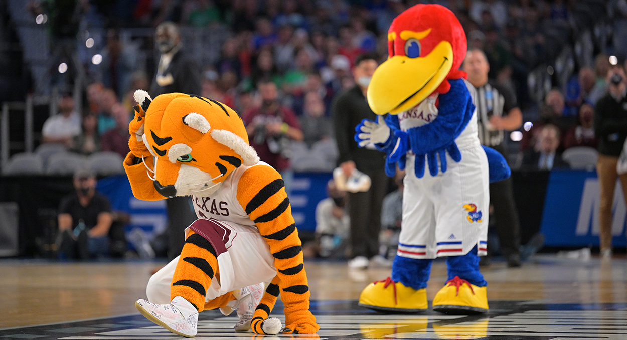 Breaking down the real March Madness: Mascot fights! - CultureMap Houston