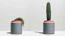 Hims Is Here To Make Sure Your Manhood Keeps ‘Up’ As You Get Older