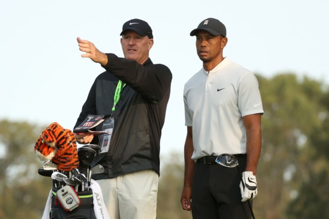 Tiger Woods Caddie Provides Update On His Comeback