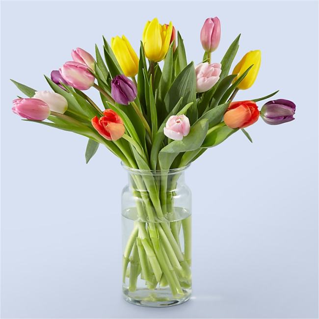 Picnic Tulips - Mothers Day Gifts