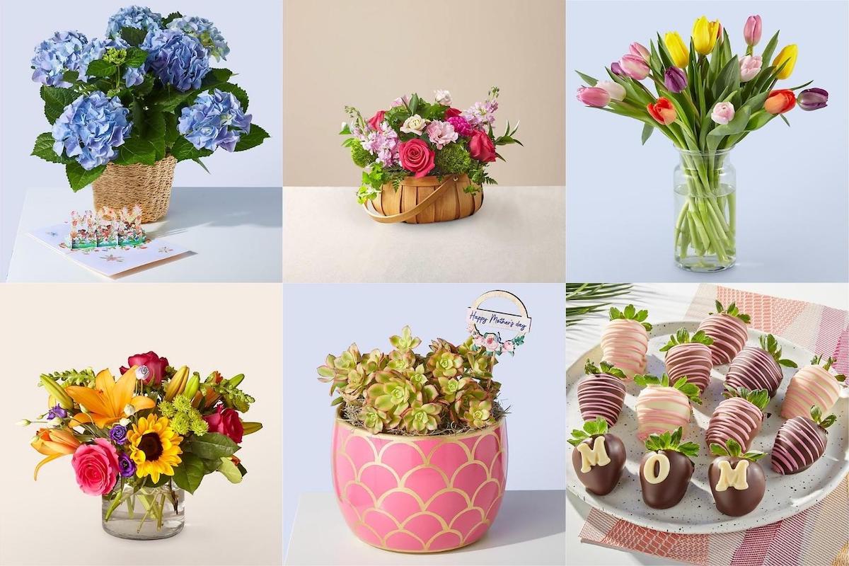 Shop Mother's Day Flowers From Proflowers The 15 Best Gifts For Mom