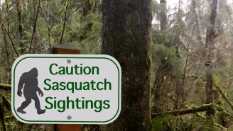 Woman Shares Harrowing Tale Of What She Believes Was An Encounter With Bigfoot
