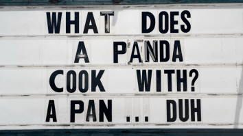 50 Of The Best Damn Photos On The Internet Today