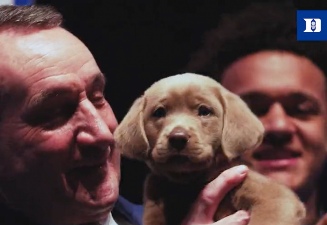 Coach K Puppy Update: Embracing Our Furry Friends