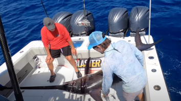 Florida Keys Fishing Captain Reels In Huge Swordfish To Find It’s Been Attacked By Cookiecutter Shark