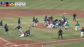 Massive, Bench-Clearing Brawl Unfolds After MiLB Batter Charges The Mound And Throws Haymaker