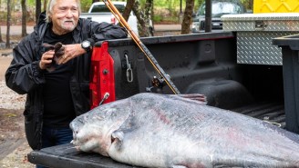 Mississippi Man Smashes State Fishing Record With 131-Pound Catfish That Looks Like A Baby Whale