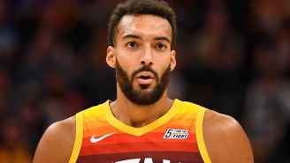 Rudy Gobert Reveals He’s An Amateur Beekeeper After Getting Stung In The Face (Photo)