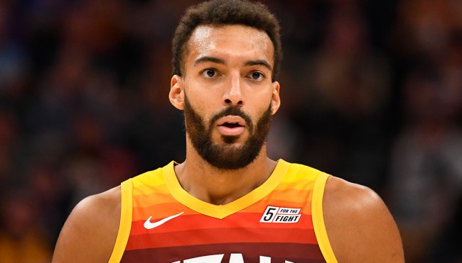Rudy Gobert Got Stung In The Face While Beekeeping At Home (Photo)