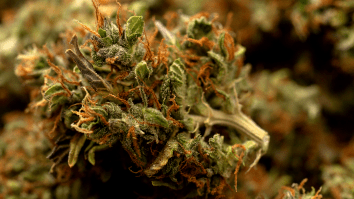 15 Charged As DEA Seizes Over $40 Million In Cash And High-End Assets From Illegal Drug Operation