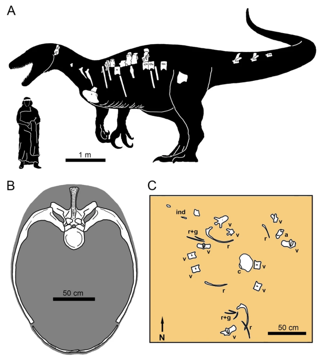 Death Shadow Raptor Remains Discovered By Scientists
