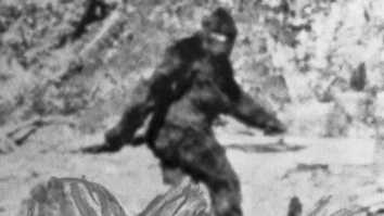 Two Men Share Footage Of What They Claim Was A Inadvertent Bigfoot Sighting