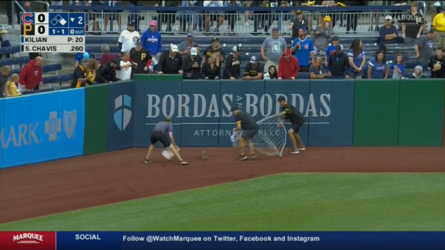 Play By Play Of A Squirrel Evading Grounds Crew During Pirates Game