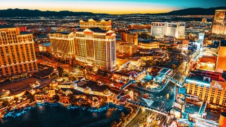 Water Samples From Pool Parties At Las Vegas Casinos Reveal Medical Nightmares Lurking In The Water