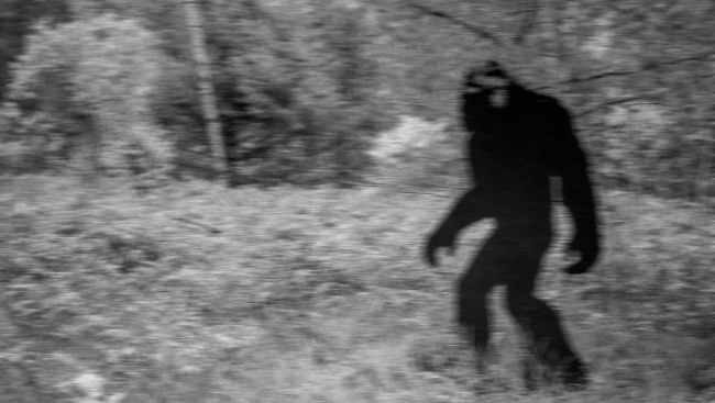 Hunter Tells Wild Story Of Having Bigfoot In His Sights For 20 Minutes