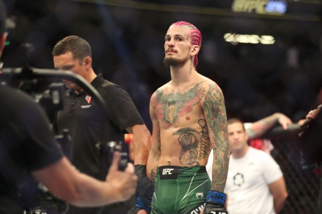sean-omalley-continues-ridiculous-claims-ufc-276-fight-pedro-munhoz