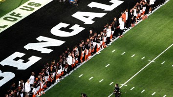 NFL Fans React To Brilliant New White Bengals Helmets, Although The Zebra Jokes Came Out