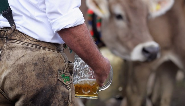 Beer Could Help Combat Climate Change Thanks To Yeast Fed To Cows