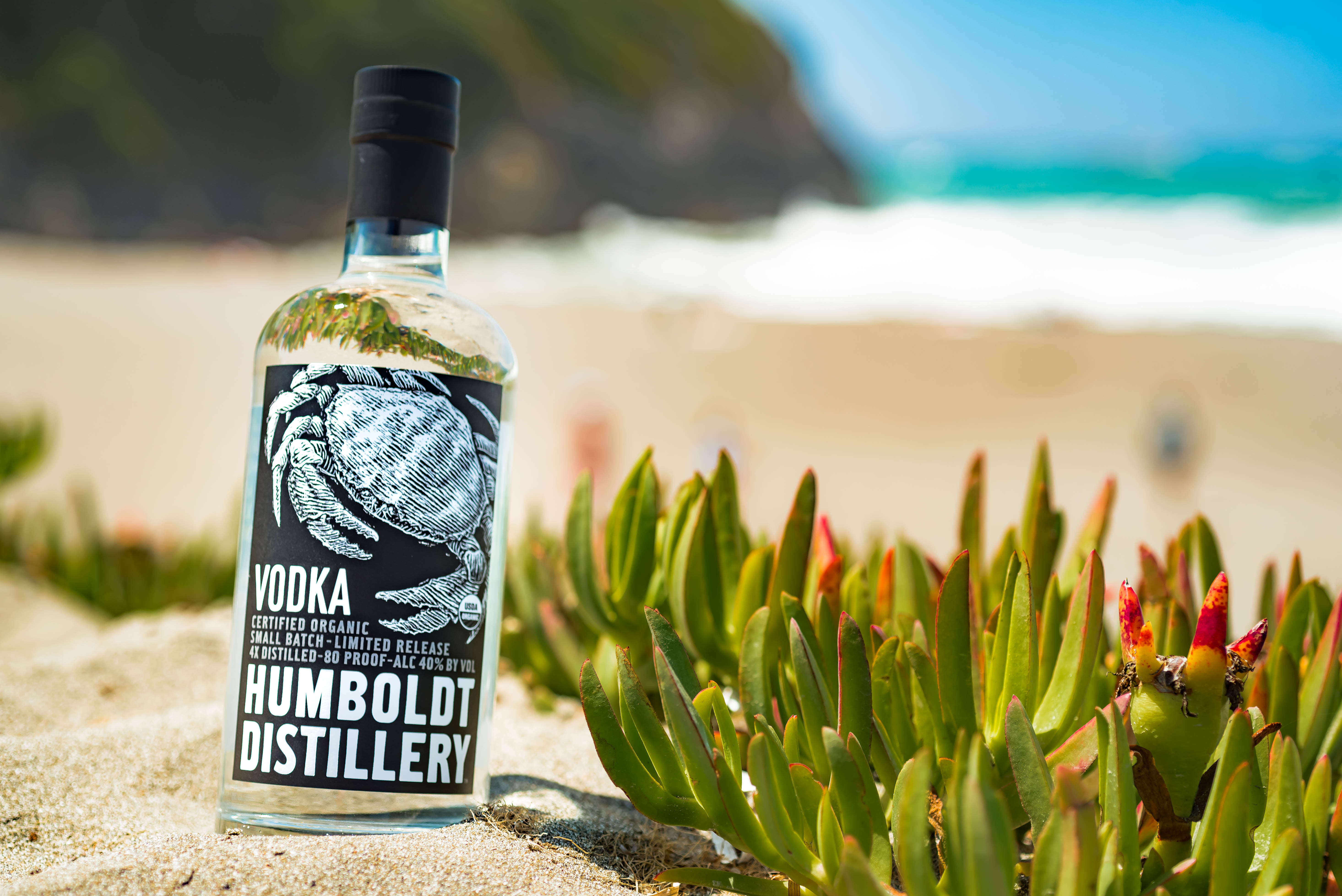 The Best Cocktails To Pair With Oysters 8 Unique Suggestions BroBible