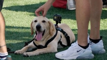 POV GoPro Video Of Lane Kiffin’s Dog ‘Juice’ At Ole Miss Practice Is As Adorable As It Sounds