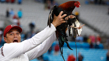 South Carolina May Have To Retire Legendary ‘Sir Big Spur’ Rooster Mascot Over Aesthetic Controversy