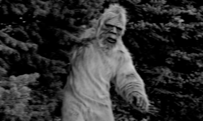 Bigfoot Video On TikTok An Outdoorsman Exchanges Gifts With Creature