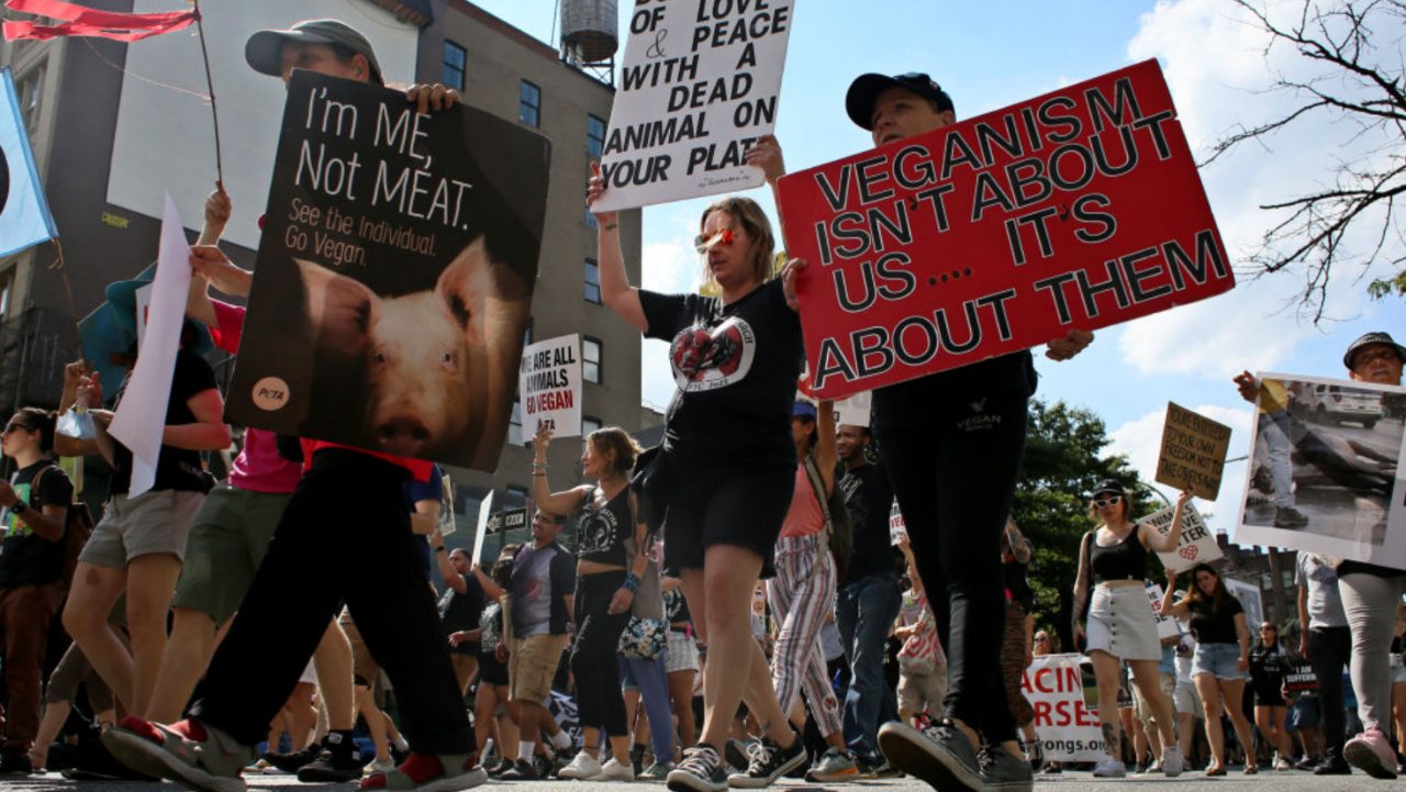 Man Eats Beef Kebab In Front Of Angry Animal Rights Activists, Hilarity ...