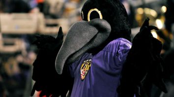 Ravens Mascot Had To Be Carted Off The Field With Leg Injury After Getting Tackled By Youth Football Player During Preseason Game