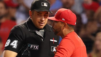 MLB Fans Rip Ump Who Smiled After Ejecting Player For Arguing Obvious Blown Call