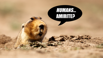Scientists Believe They Have Figured Out How To Decipher What Some Animals Are Saying