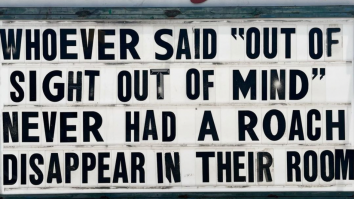 50 Of The Best Damn Photos On The Internet Today