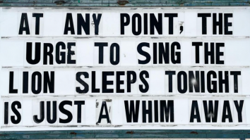 50 Of The Best Damn Photos On The Internet Today