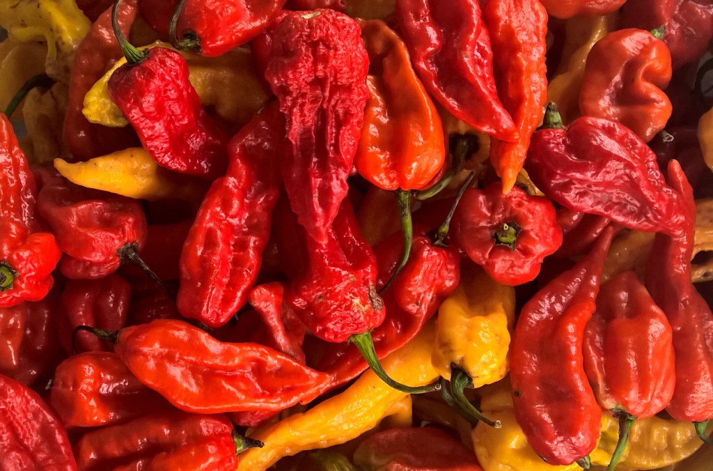 Man Eats 17 Ghost Peppers In 1 Minute For World Record And Pushes His Body To The Limits