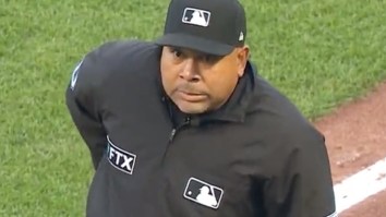 MLB Ump Has Hilarious Reaction After Getting Caught Swearing On Hot Mic (Video)