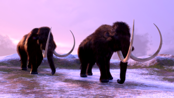 The CIA Is Getting Into The Woolly Mammoth Resurrection Business (Yes, That CIA)