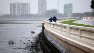 Wild Videos Show Tampa’s Bayshore Blvd Sucked Dry Due To Hurricane Ian Reverse Storm Surge