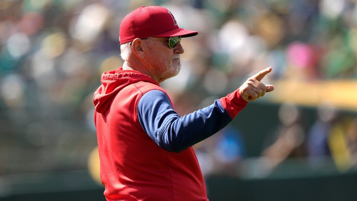 Is Baseball Losing Its Soul? Joe Maddon Speaks Out. - Other Baseball -  Twins Daily
