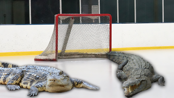 The NHL Wants To Incorporate Alligators Into The 2023 All-Star Game Skill Challenge, Here’s How They Should Do It