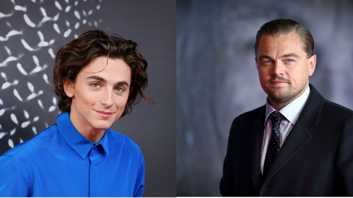 Timothee Chalamet Leo DiCaprio Said 'No Drugs And Superhero Movies'