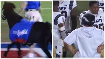 Navy-SMU Game Delayed Due To Horse Pooping On The Field